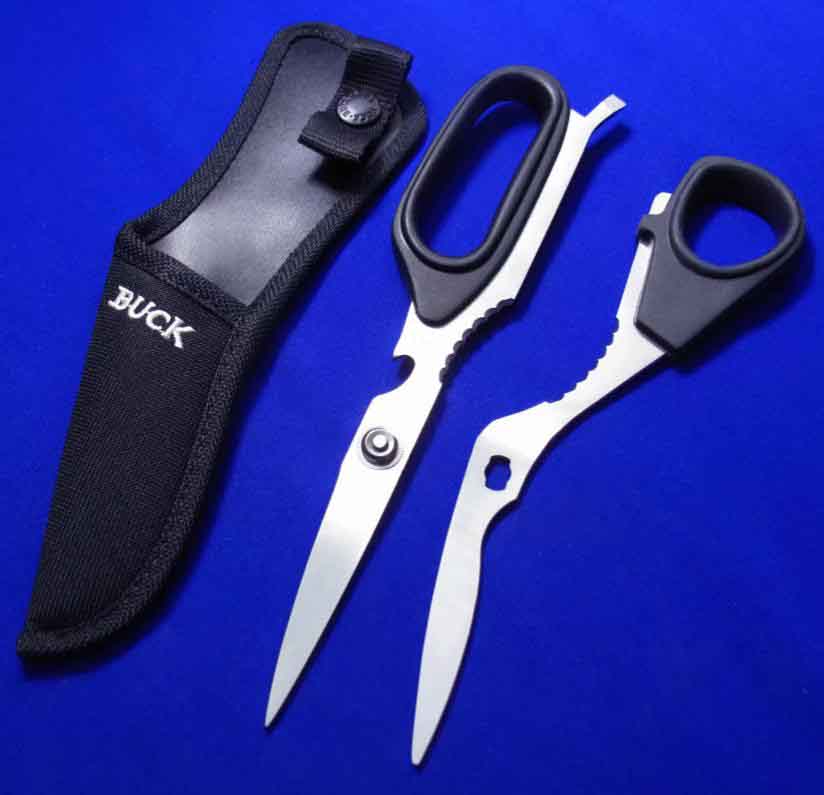 BUCK �Ϳ� �������ʽ �๦�ܼ���